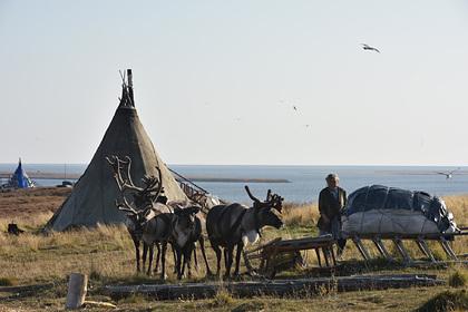 В Красноярском крае появятся первые этнодеревни
