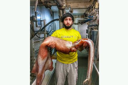 В России рыбаки поймали гигантского хищного кальмара весом 30 килограммов