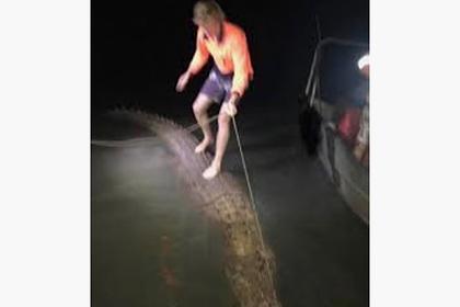 Мужчина прокатился на огромном крокодиле и разозлил зоозащитников