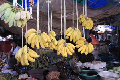 В Эквадоре обнаружили бананы с кокаином для России