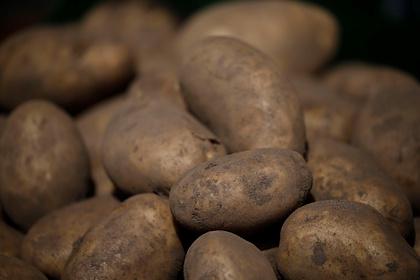 Диетолог перечислил полезные свойства картофеля