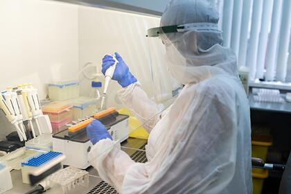 В России выявили 154 неописанных штамма коронавируса