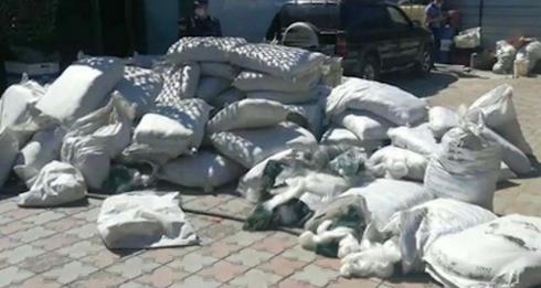 Спецоперация против браконьеров на Балхаше: изъято 6 тонн рыбы и 200 км сетей