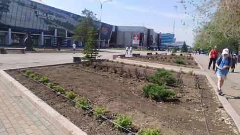 Площадь снова зацветёт: в Караганде начали высадку цветов на ТД «Арбат»