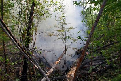 Российских школьников привлекли к тушению лесных пожаров