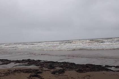 Жители Сахалина обнаружили нефтепродукты на берегу моря