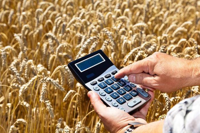 Экспортные цены на пшеницу продолжают расти: за апрель подскочили на 16%