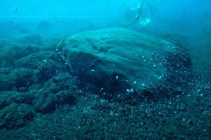 Найдены уникальные подводные артефакты древних индейцев
