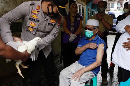 Привившимся от коронавируса в Индонезии раздают кур