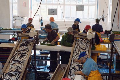 Крупный производитель рыбных консервов пожаловался на массовую подделку сайры