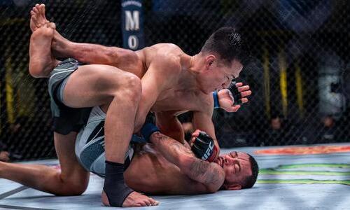 Стали известны все гонорары участников турнира UFC 29 с главным боем «Корейский зомби» — Иге