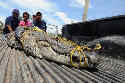 Жертва крокодилов вышла из комы и начала бороться за их права