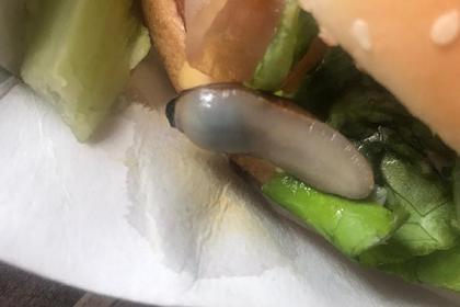 Подросток обнаружил отвратительную находку в бургере из «Макдоналдса»