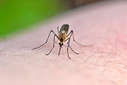Мужчина заразился редким вирусом из-за укуса комара