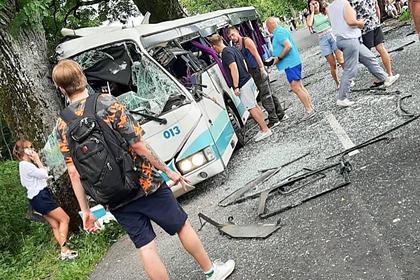 В российском регионе рейсовый автобус врезался в дерево