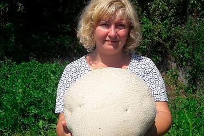 Россиянка вырастила гигантский килограммовый гриб