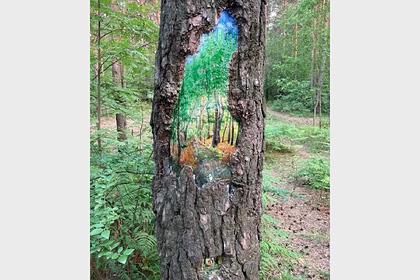 На Урале появился спасающий деревья «лесной Бэнкси»