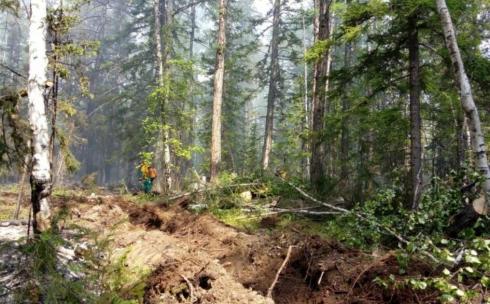 Карагандинцев предупреждают о высокой пожарной опасности в лесах