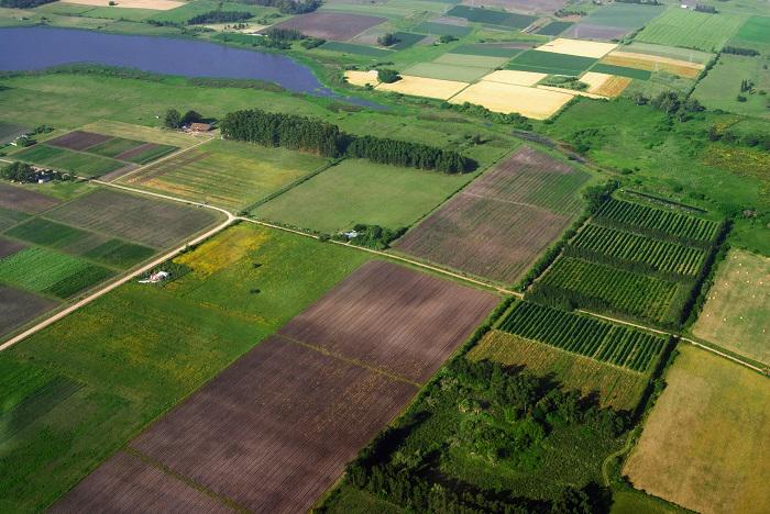 Запуск рынка земли: в Минагрополитики назвали среднюю стоимость 1 гектара