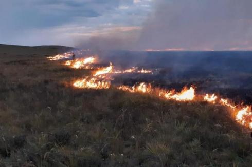10 степных пожаров зарегистрировали в Улытауском районе Карагандинской области