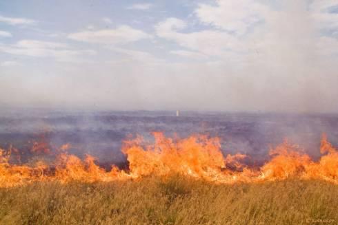 На трассе Караганда-Темиртау горит степь. Тушение осложнено сильным ветром