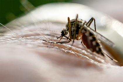 Глобальное потепление сделало комаров опаснее