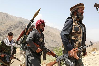 Эксперт назвал сроки падения Кабула под натиском талибов