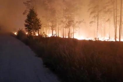 Площадь пожаров в российском регионе выросла в несколько раз