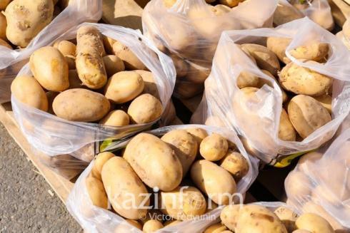 В Казахстане ожидается снижение цены на картофель