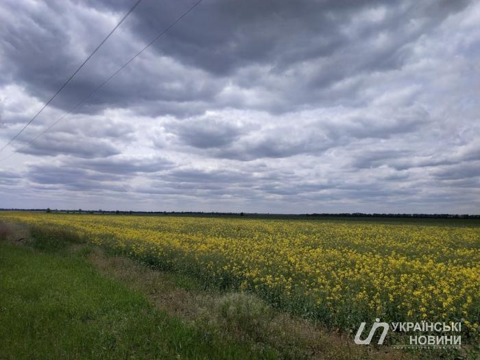 Подделка подписей и вымогательство — в Киевской области фермерское хозяйство присвоило земельные участки сироты