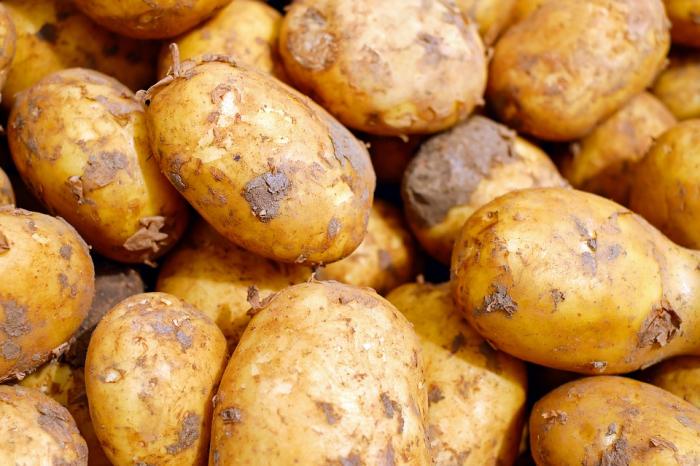 В Украине стремительно дешевеют овощи. Картофель упала в цене на треть за две недели