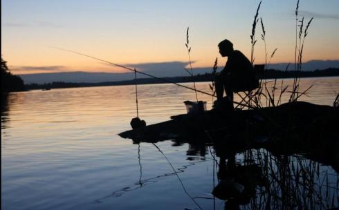 Рыбалку и сбор грибов не запрещали и в прошлом году – Департамент санэпидконтроля Карагандинской области
