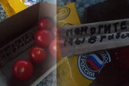 Россиянка обнаружила записку с просьбой спасти из рабства в купленных помидорах