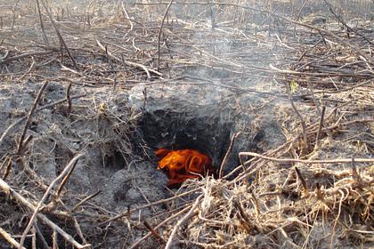 Россиян предупредили о возгораниях торфяников в некоторых регионах
