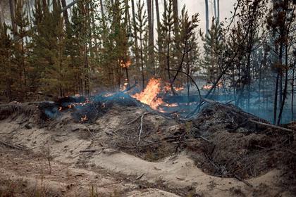 МЧС раскрыло масштабы пожаров в Якутии