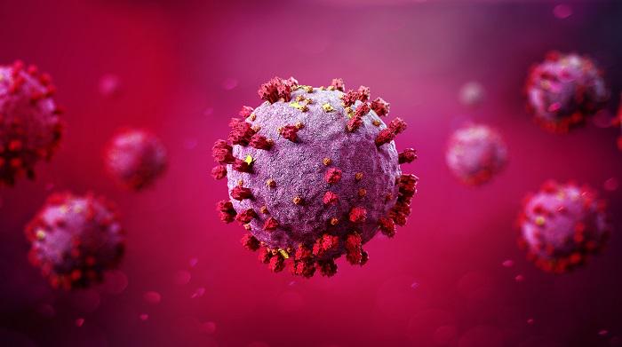 Ученые нашли антитело к коронавирусу, способное защитить от еще не появившихся вариантов вируса