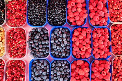 Диетолог раскрыла опасность питания одними ягодами