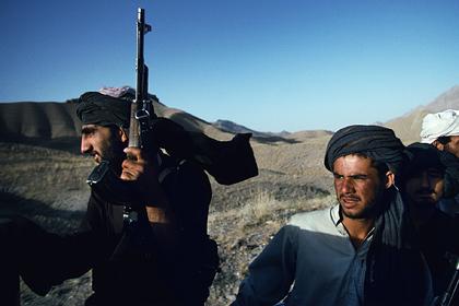 Талибы описали устройство Афганистана после захвата власти