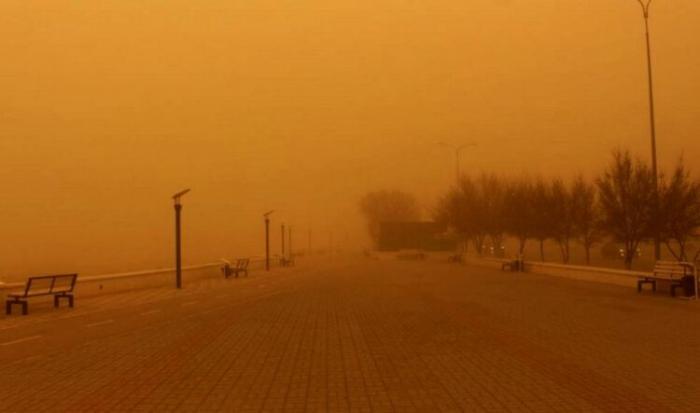 Жара, пыльные бури и грозы ожидаются в Казахстане