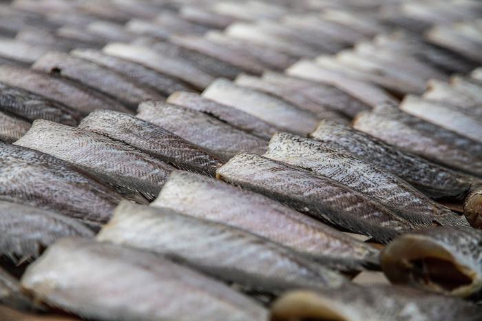 За пять месяцев 2021 Украина нарастила экспорт рыбы на 22%