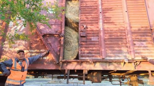 Вместе в беде: Карагандинцы отправили 6 тысяч тюков сена в Мангистаускую область