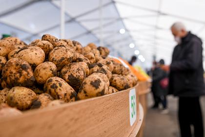 Россия пригрозила запретить ввоз картофеля из Азербайджана