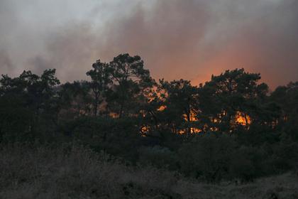 В Турции из-за лесного пожара пострадали 53 человека