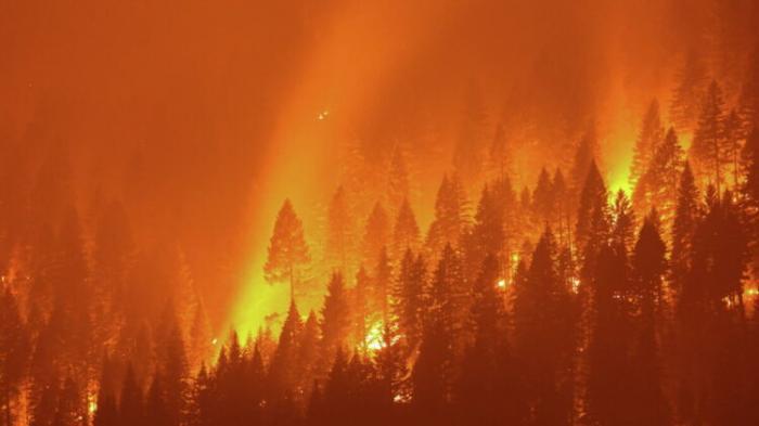 В Анталье разбушевался лесной пожар: пострадали 53 человека