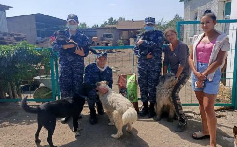 Сотрудница ДУИС Карагандинской области приютила бездомного щенка