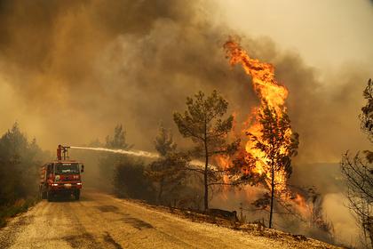 Эрдоган объявил пострадавшие от лесных пожаров регионы зоной бедствия