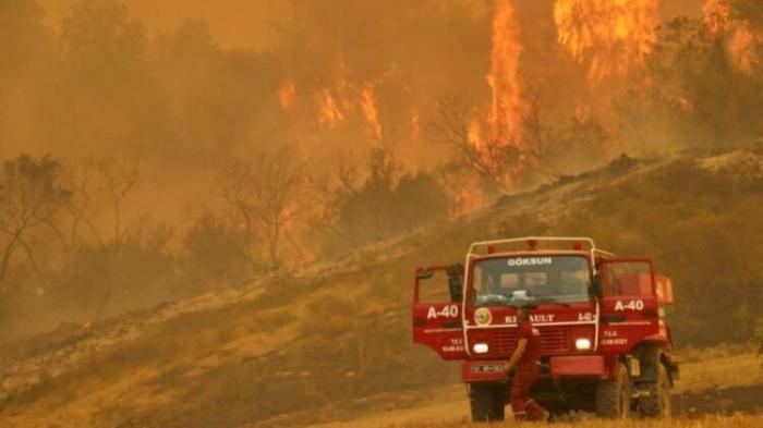 В Турции выросло число погибших в лесных пожарах