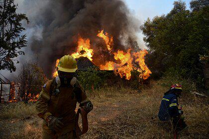 Грецию охватили десятки лесных пожаров