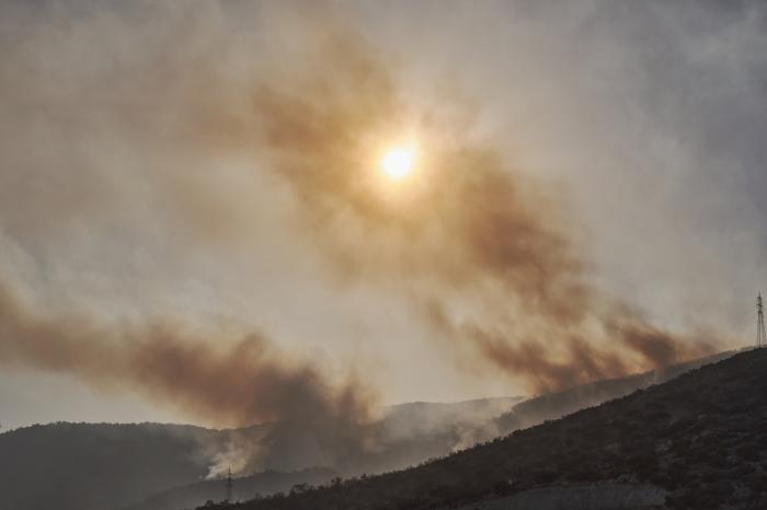 В Турции ввели запрет на посещение лесов в тех регионах, где бушуют пожары