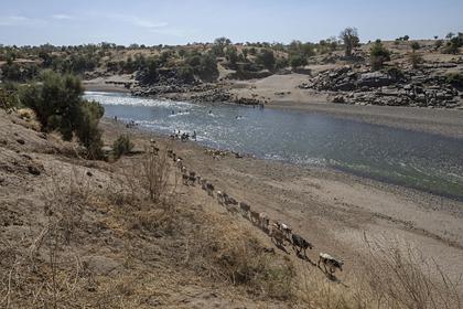 В африканской реке обнаружили десятки тел